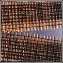 bullnose